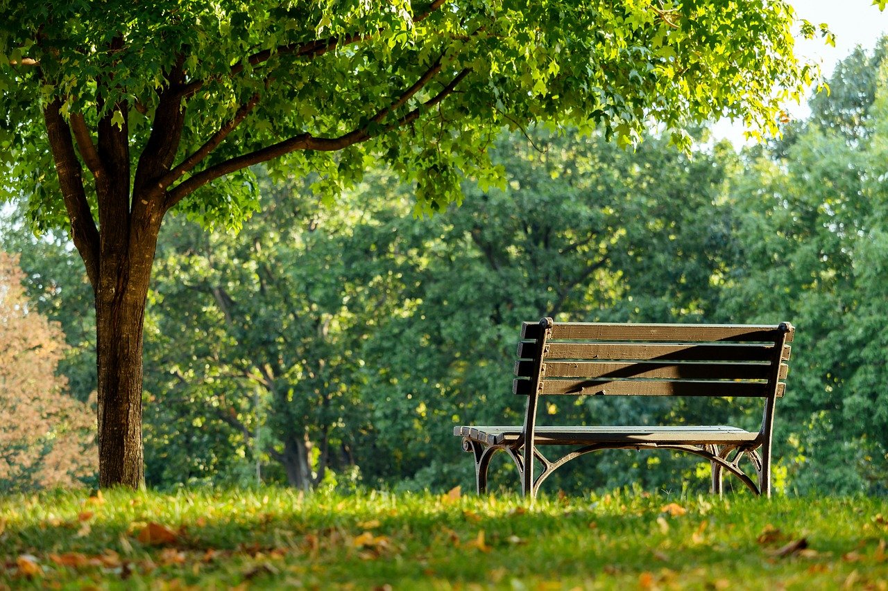 The Role of Public Parks in Sustainable Living